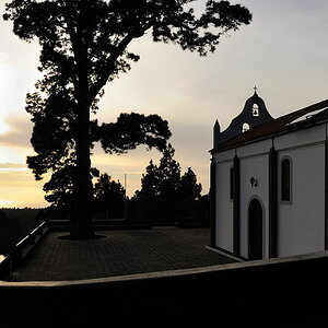 DSC 7832