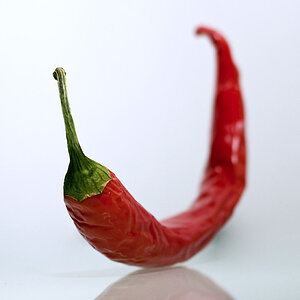 DSC 1782 Kopie