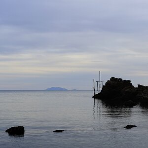 Maremma #12
