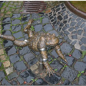 oppenheimer kroetenbrunnen