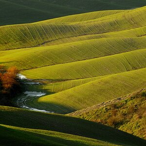 Crete Senesi #9