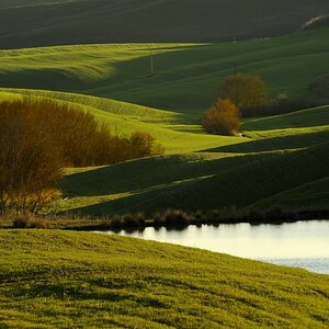 Crete Senesi #11
