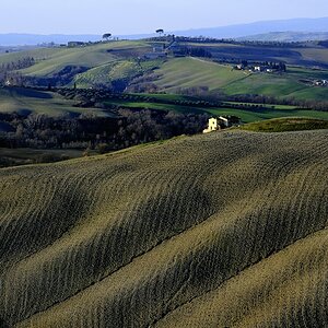 Crete Senesi #12