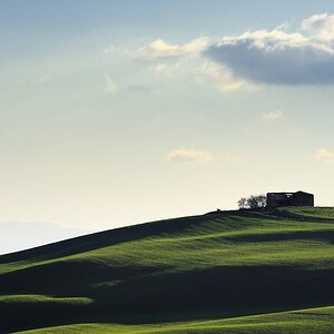 Crete Senesi #13