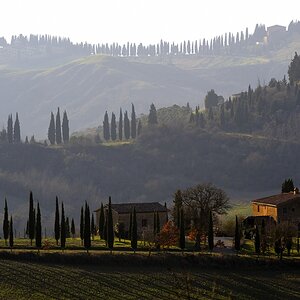 Crete Senesi #15