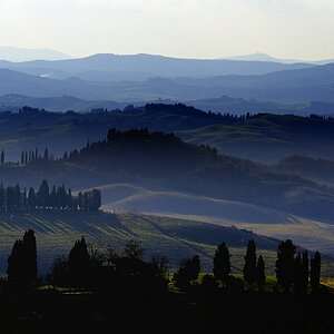 Crete Senesi #17