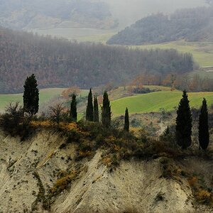 Crete Senesi #14