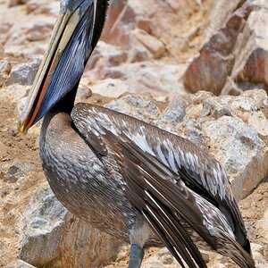 Peli 2