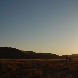 Sossusvlei