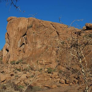 Elephants Head