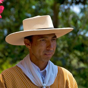 Gaucho