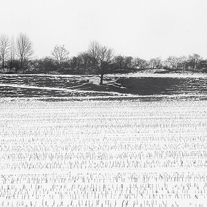Landschaft02