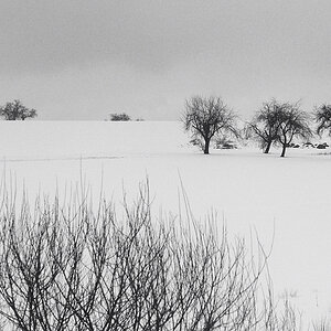 Landschaft01