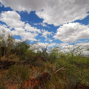 Waterberg