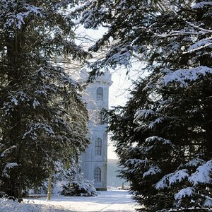 Winter - Pfaueninsel Ruine