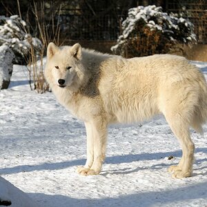 Zoo Berlin