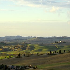 Crete Senesi 034