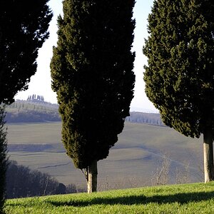 Crete Senesi 043