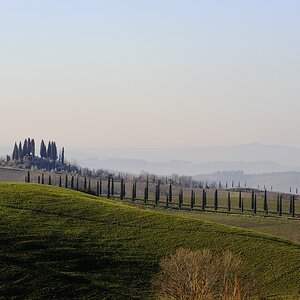 Crete Senesi 044