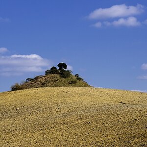 Crete Senesi 045