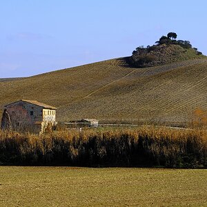 Crete Senesi 046