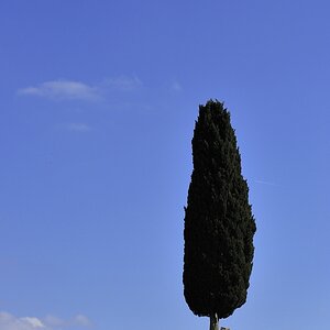 Crete Senesi 047