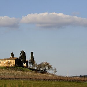 Crete Senesi 048
