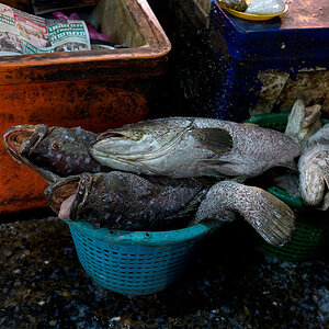 bangkok klong toey market 1016157