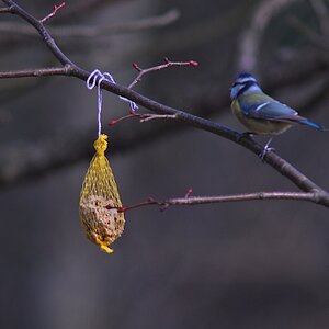 300 Test 4