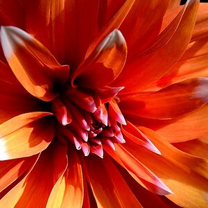 blume04