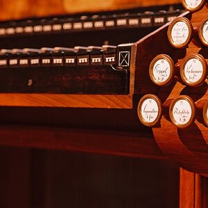 Orgel