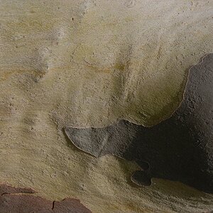 DSC 8043