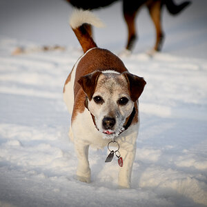 20120207Paula 0636