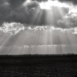 120105 0306