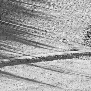 DSC 9930 crop sw