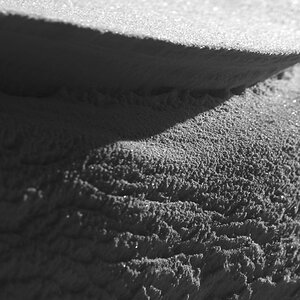 DSC 9880 crop SW dist 1