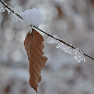 Winterimpression