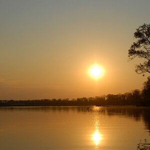 Sonnenaufgang am Luangwa
4364