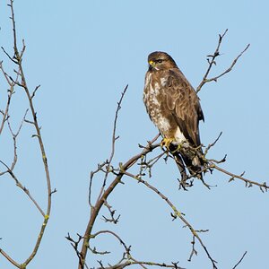 20120204 2037 [NIKON 1 V1] 340 mm,1 320 Sek. bei ƒ   5,6