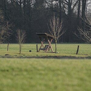 20120127 7734 [NIKON D7000] 360 mm,1 250 Sek. bei ƒ   5,0
-> Übersicht