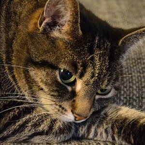 DSC 3322