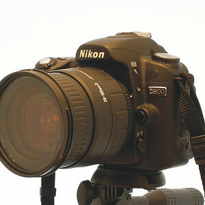 D800
