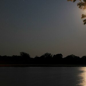 Mond über dem Luangwa
Nkwali Camp
0885
