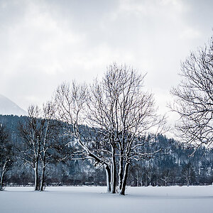 20120216 124545