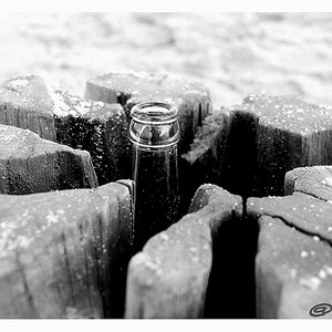 Vergessene Botschaft...
besondere Aufnahme, entstanden im Dezember 2011 während eines Strandspaziergangs an der Ostseeküste der Halbinsel Darß-Fischla