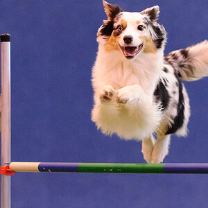 LNK D4944