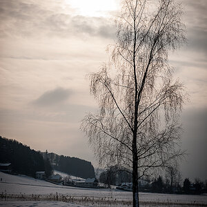 20120203 105817 02