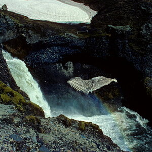 052 Island 1982
