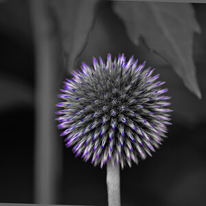 SC 0025