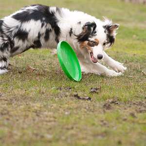 DSC 8126